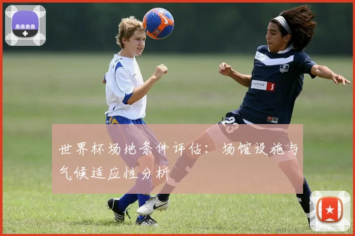 世界杯场地条件评估：场馆设施与气候适应性分析